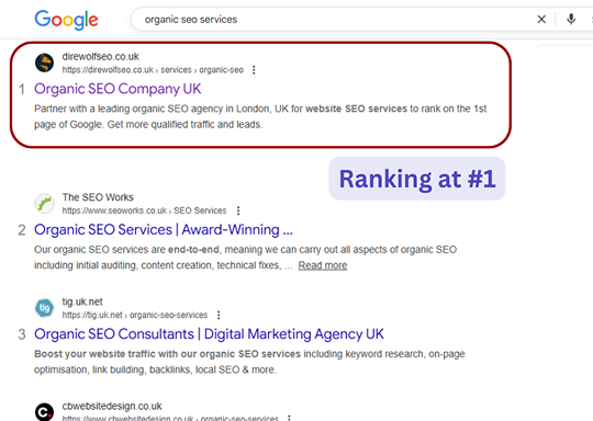 Direwolf SEO ranks at #1 on Google