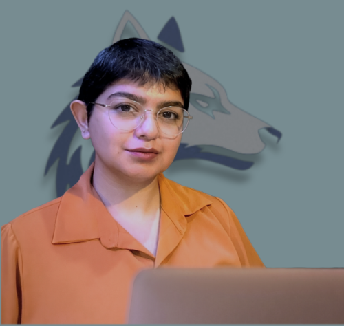 Operations Director of Direwolf SEO